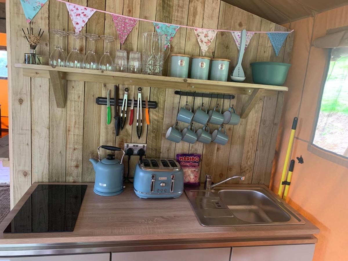 Mountain View Safari Tent With Hot Tub In The Heart Of Snowdonia Dolgellau Ngoại thất bức ảnh